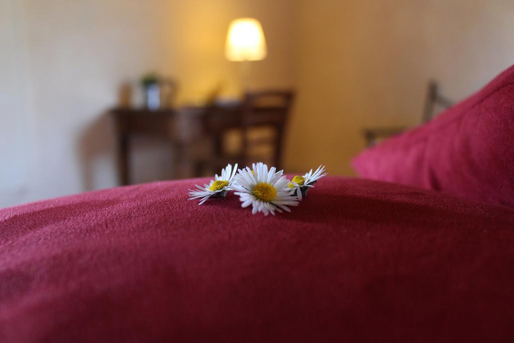 Agriturismo Casavecchia 필리네발다르노 외부 사진